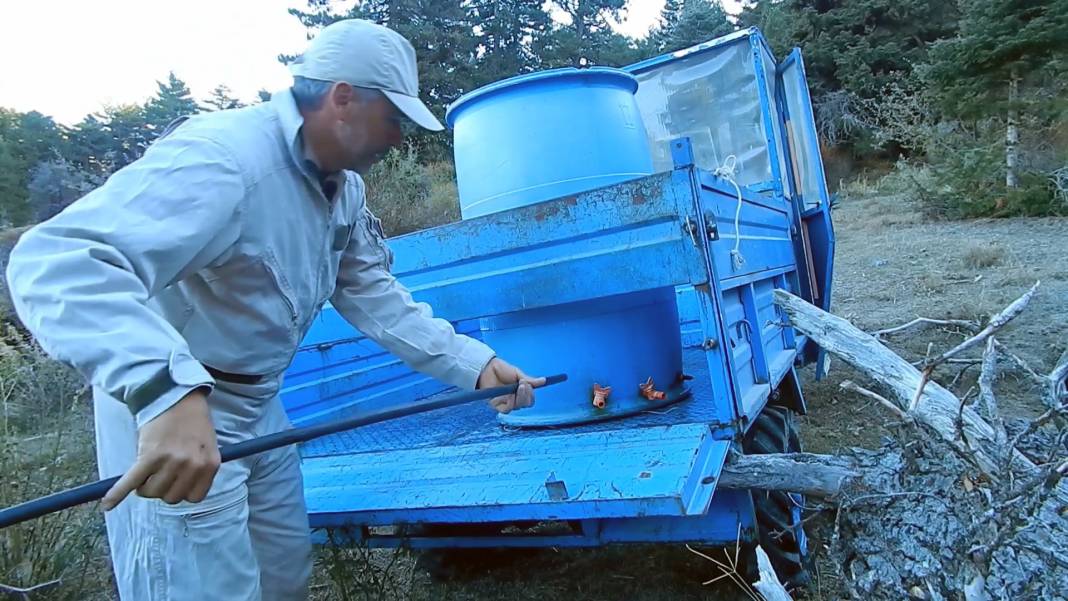 Konya’nın kuş dostu! Toros Dağları’na varillerle su taşıyor 3